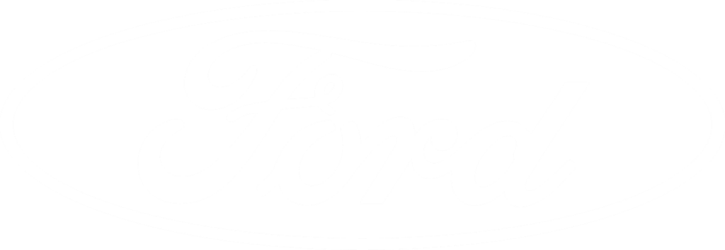 Ford logo w